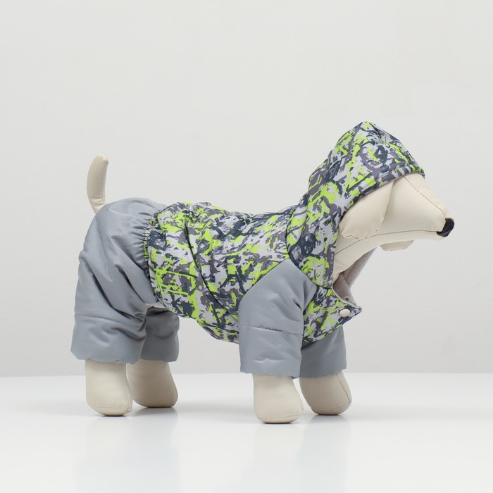 Комбинезон "Омон" для собак, размер S (ДС 20-22 см, ОШ 26 см, ОГ 30-34 см)
Комбинезон "Омон" для собак, размер S (ДС 20-22 см, ОШ 26 см, ОГ 30-34 см)