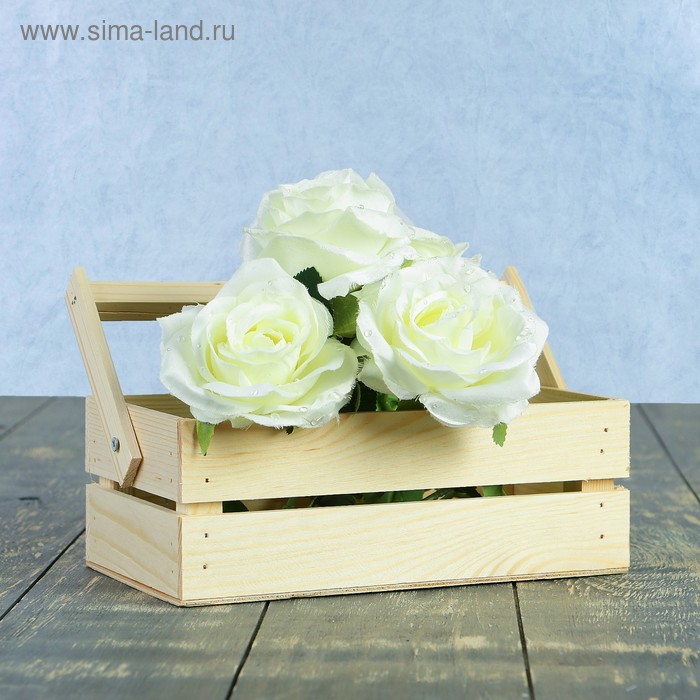 Кашпо деревянное 24.5×13.5×9 см "Двушка Лайт", двухреечное, натуральный Дарим Красиво
Кашпо деревянное 24.5×13.5×9 см "Двушка Лайт", двухреечное, натуральный Дарим Красиво