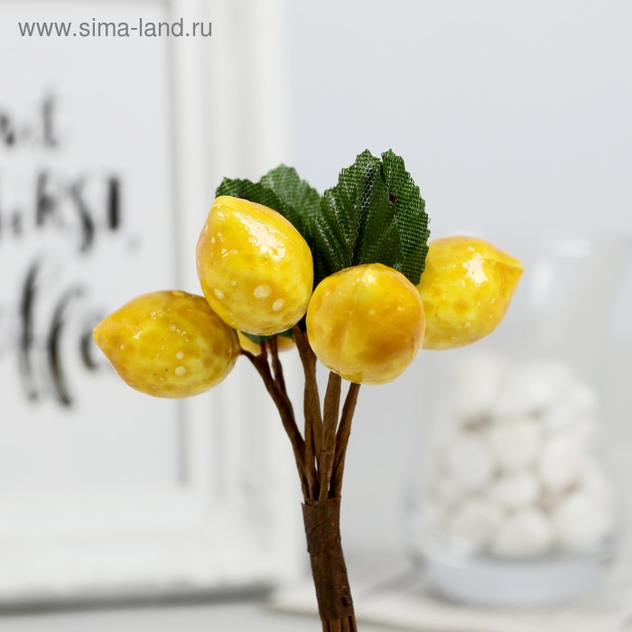 Декор для творчества "Лимончики" 11 см (1 набор=1 букету) в букете 6 плодов
Декор для творчества "Лимончики" 11 см (1 набор=1 букету) в букете 6 плодов