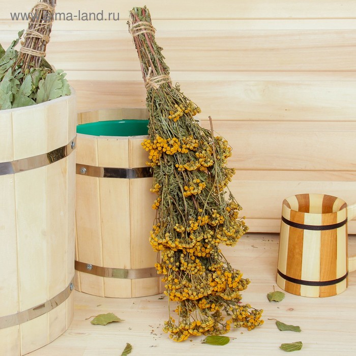 Веник для бани 45 (+-5) см ТРАВЯНОЙ из пижмы для суставов от ушибов и ран 
Веник для бани 45 (+-5) см ТРАВЯНОЙ из пижмы для суставов от ушибов и ран