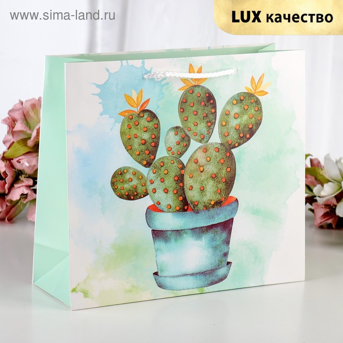 Пакет ламинированный "Бон пари", люкс, 25 х 10 х 28 см
Пакет ламинированный "Бон пари", люкс, 25 х 10 х 28 см