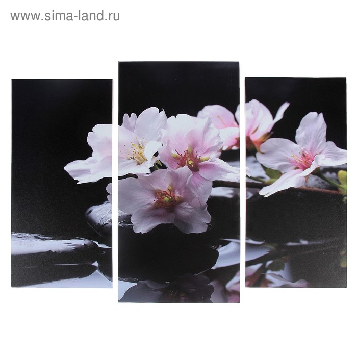 Модульная картина "Цветочная веточка" (2-25х52; 1-30х60) 60х80 см
Модульная картина "Цветочная веточка" (2-25х52; 1-30х60) 60х80 см