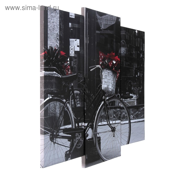 фото Модульная картина "чёрно-белый велосипед" (2-25х52; 1-30х60) 60х80 см