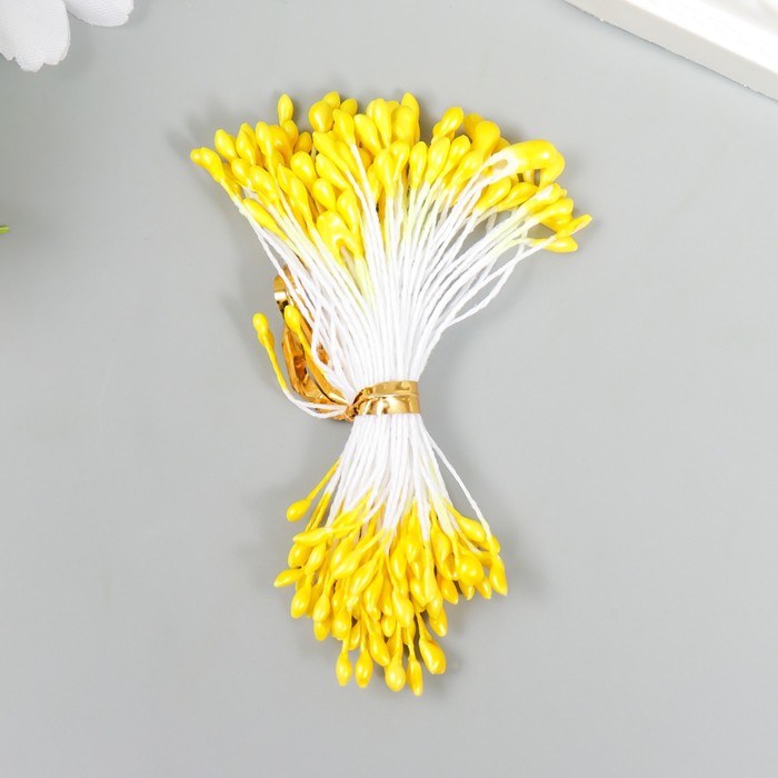 Тычинки Magic 4 Hobby 203-15 (набор 50 шт)
Тычинки Magic 4 Hobby 203-15 (набор 50 шт)