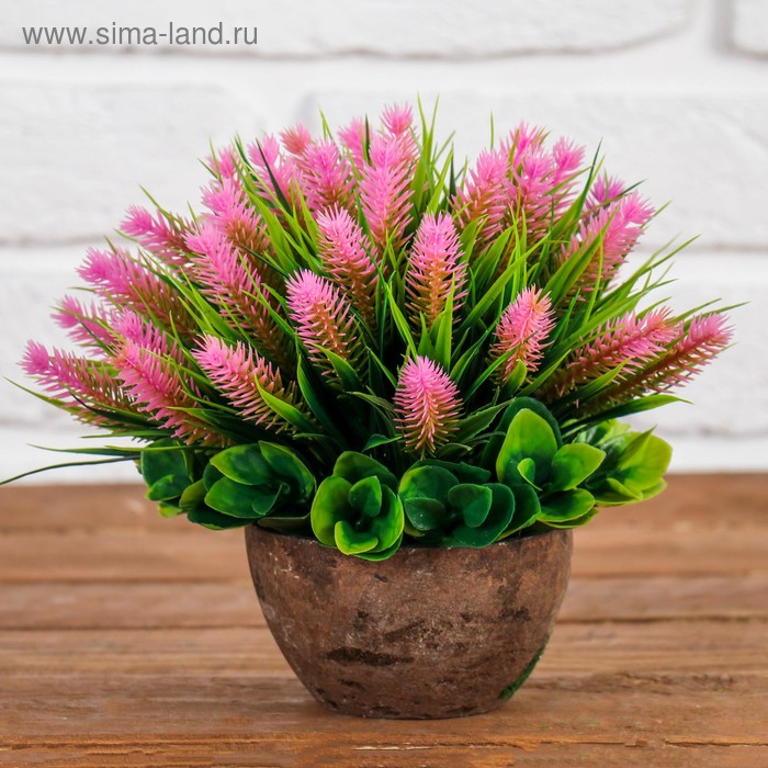 Бонсай "Зелёный куст с пушистыми ветками" 15*15,5 см
Бонсай "Зелёный куст с пушистыми ветками" 15*15,5 см