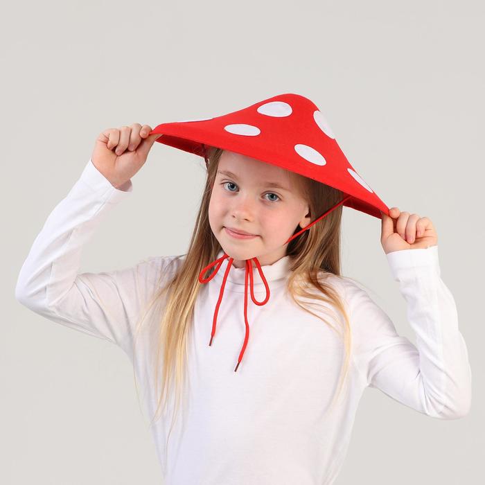 Шляпа мухомора фетр
Шляпа мухомора фетр