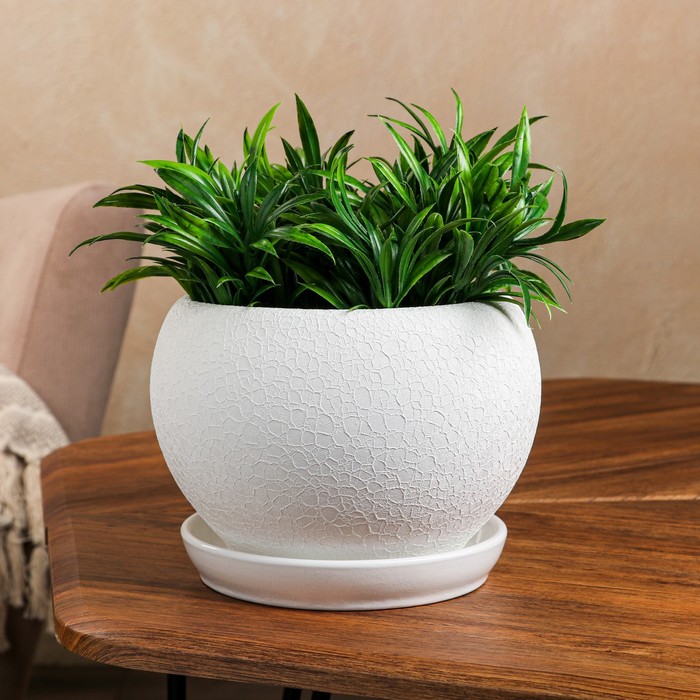 Горшок для цветов "Шар", шёлк, белый, керамика, 2 л
Горшок для цветов "Шар", шёлк, белый, керамика, 2 л