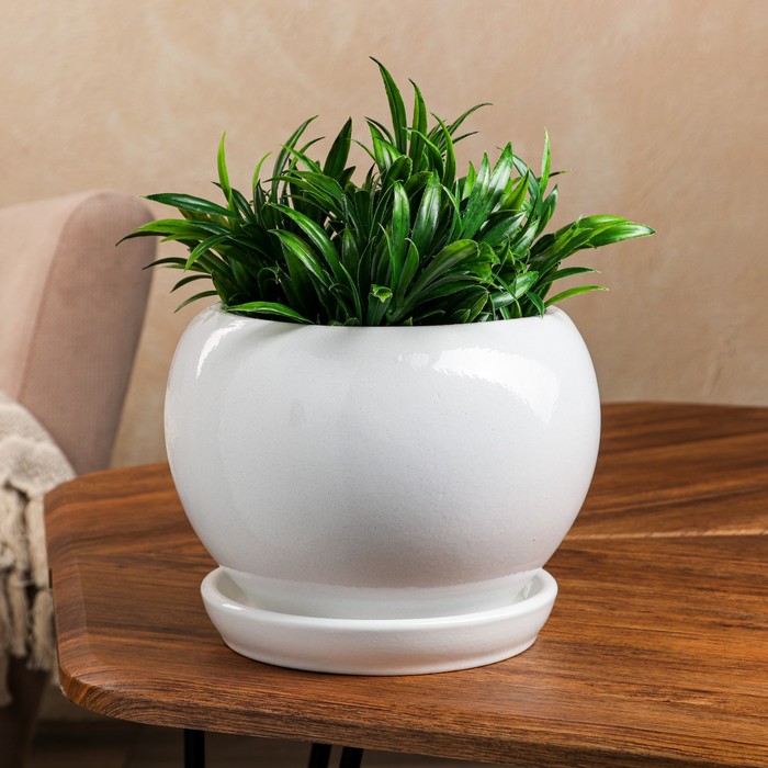 Горшок для цветов "Шар", глазурь, белый, керамика, 2 л 
Горшок для цветов "Шар", глазурь, белый, керамика, 2 л