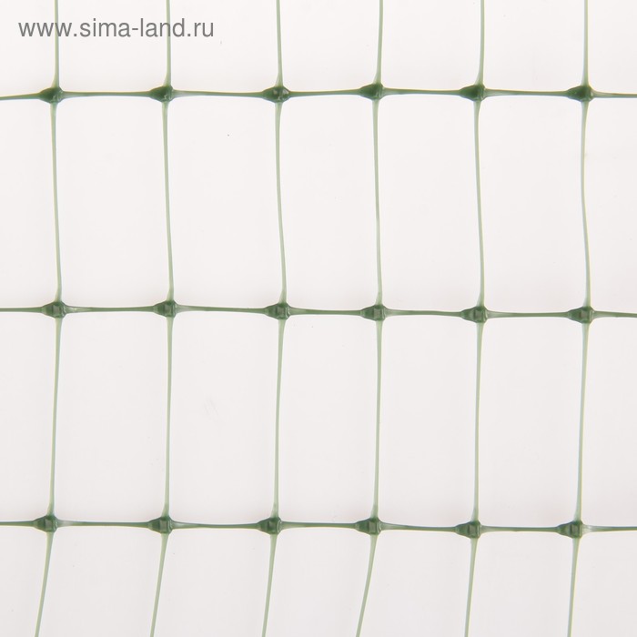 фото Сетка садовая для клематисов,1 × 6 м, ячейка 22 × 35 мм, зелёная протэкт