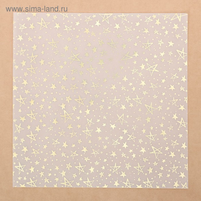 Калька для скрапбукинга с фольгированием «Космос» , 30,5 х 30,5 см 
Калька для скрапбукинга с фольгированием «Космос» , 30,5 х 30,5 см