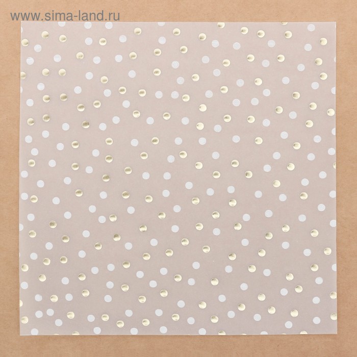 Калька для скрапбукинга с фольгированием «Мечты» , 20 х 20 см
Калька для скрапбукинга с фольгированием «Мечты» , 20 х 20 см