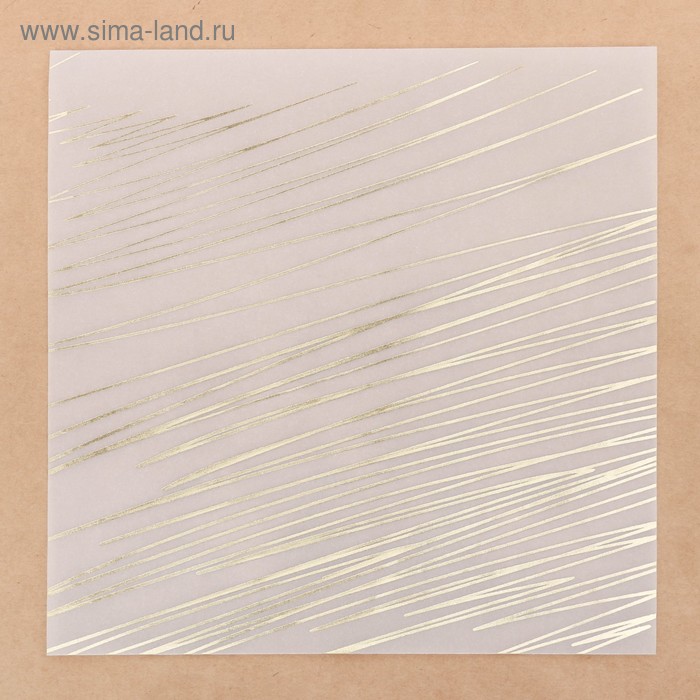 Калька для скрапбукинга с фольгированием «Экспрессия» , 20 х 20 см
Калька для скрапбукинга с фольгированием «Экспрессия» , 20 х 20 см