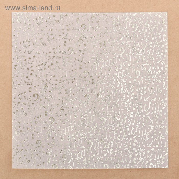 Калька для скрапбукинга с фольгированием «Волшебная мелодия» , 20 х 20 см 
Калька для скрапбукинга с фольгированием «Волшебная мелодия» , 20 х 20 см