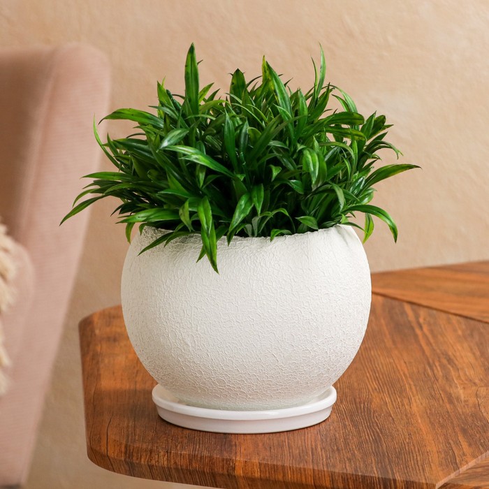 Цветочный горшок "Шар", шёлк, белый, керамика, 1 л
Цветочный горшок "Шар", шёлк, белый, керамика, 1 л