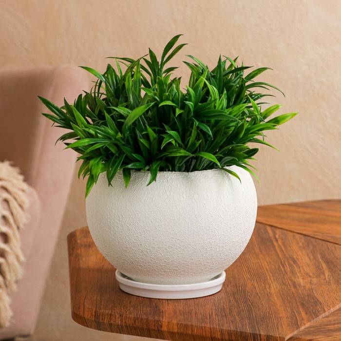 Цветочный горшок "Шар", шёлк, белый, керамика, 2 л
Цветочный горшок "Шар", шёлк, белый, керамика, 2 л