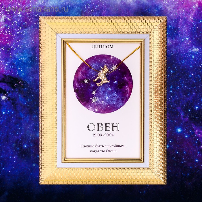 Подарочный набор диплом и брошь гороскоп "Овен", 15 х 15 см
Подарочный набор диплом и брошь гороскоп "Овен", 15 х 15 см