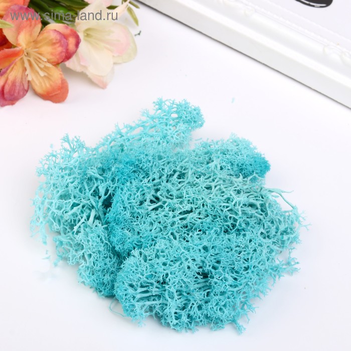 Мох искусственный "Бирюза" 10 гр
Мох искусственный "Бирюза" 10 гр