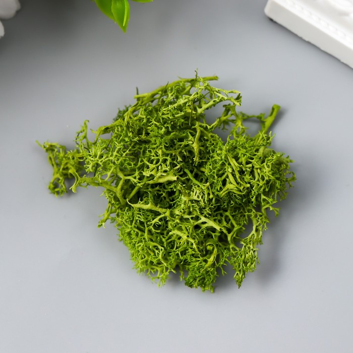 Мох искусственный "Зелёный" 10 гр
Мох искусственный "Зелёный" 10 гр