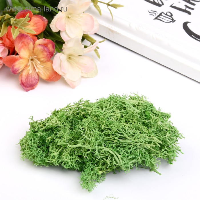 Мох искусственный "Светло-зелёный" 10 гр
Мох искусственный "Светло-зелёный" 10 гр