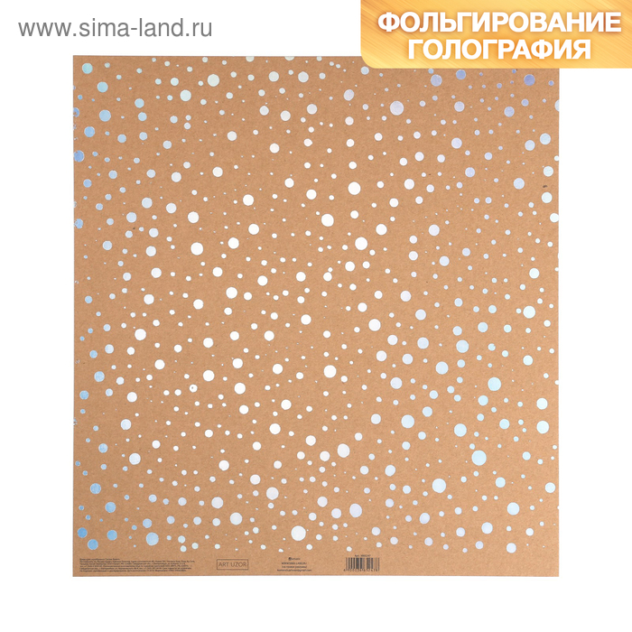 Бумага для скрапбукинга крафтовая с голографическим фольгированием «Брызги серебра», 30.5 × 32 см
Бумага для скрапбукинга крафтовая с голографическим фольгированием «Брызги серебра», 30.5 × 32 см