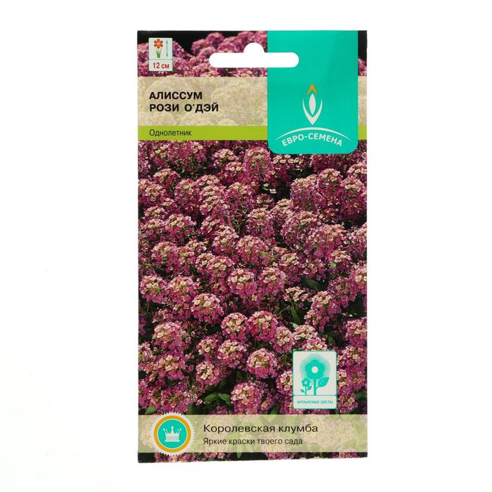 Семена цветов Алиссум "Евро-семена", "Рози ОДэй" морской, однолетник, цв/п, 0,25 г
Семена цветов Алиссум "Евро-семена", "Рози ОДэй" морской, однолетник, цв/п, 0,25 г