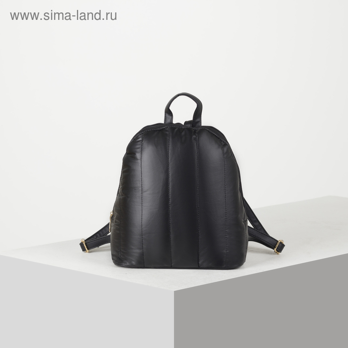 Рюкзак молодёжный, отдел на молнии, цвет перламутр чёрный
Рюкзак молодёжный, отдел на молнии, цвет перламутр чёрный