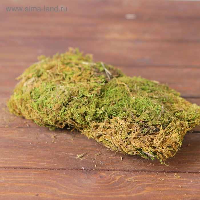 Декор «Мох», 60 г
Декор «Мох», 60 г