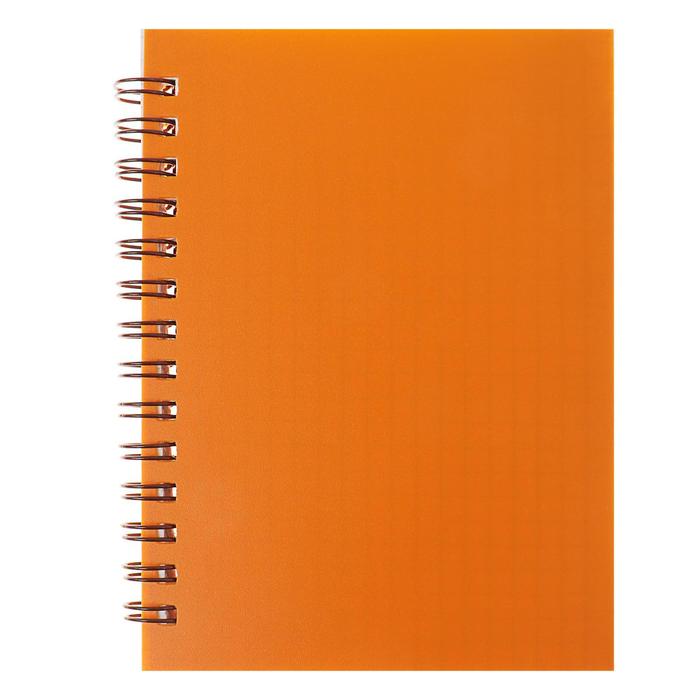 Записная книжка А6, 80 листов в клетку на гребне "Оранжевый. Неон", пластиковая обложка, блок 80 г/м²
Записная книжка А6, 80 листов в клетку на гребне "Оранжевый. Неон", пластиковая обложка, блок 80 г/м²