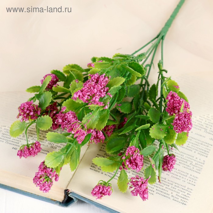 Букет "Морошка" 25 см, микс
Букет "Морошка" 25 см, микс