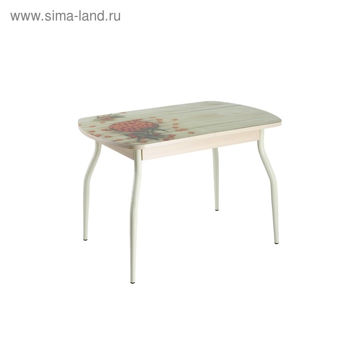 Стол раздвижной с фотопечатью Нилс, 1200(1520)х800х760, Дуб/Облепиха/Крашеные фигурные
Стол раздвижной с фотопечатью Нилс, 1200(1520)х800х760, Дуб/Облепиха/Крашеные фигурные