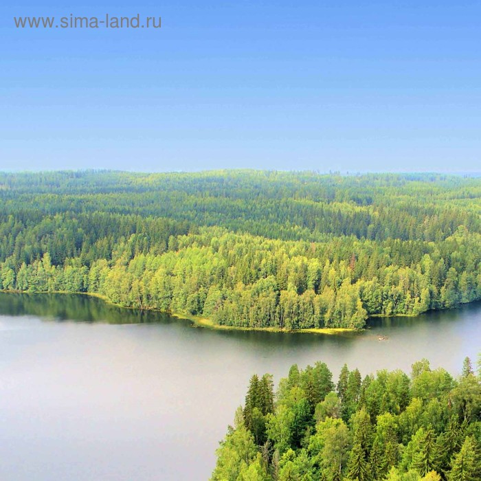 фото Кухонный фартук 600х600 мм, закалённое стекло 4 мм, 4 отверстия под крепёж, цвет арт718