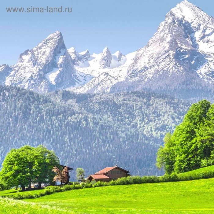 фото Кухонный фартук 600х600 мм, закалённое стекло 4 мм, 4 отверстия под крепёж, цвет арт746