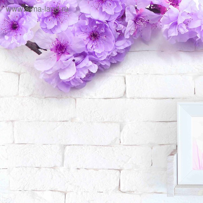 фото Кухонный фартук 600х600 мм, закалённое стекло 4 мм, 4 отверстия под крепёж, цвет арт987