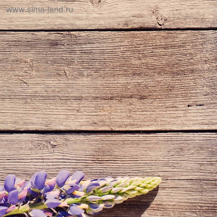 фото Кухонный фартук 600х600 мм, закалённое стекло 4 мм, 4 отверстия под крепёж, цвет цв0341