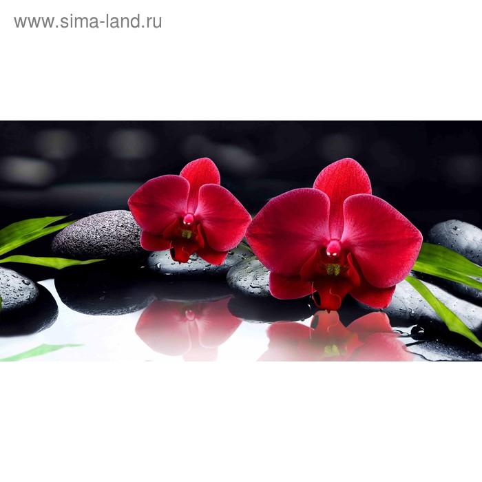 фото Кухонный фартук 1200х600 мм, закалённое стекло 4 мм, 4 отверстия под крепёж, цвет арт69