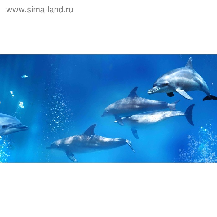 фото Кухонный фартук 1200х600 мм, закалённое стекло 4 мм, 4 отверстия под крепёж, цвет арт841