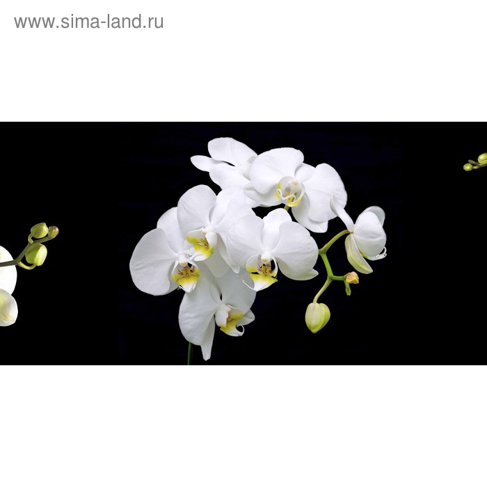 фото Кухонный фартук 1200х600 мм, закалённое стекло 4 мм, 4 отверстия под крепёж, цвет цв0139