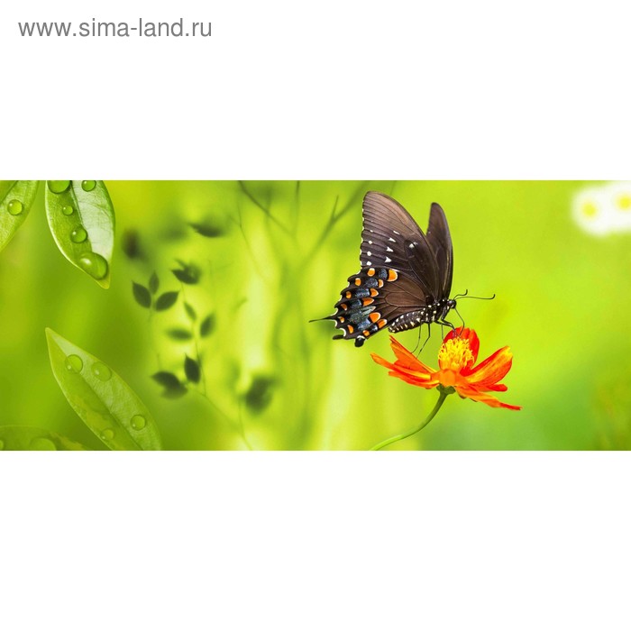 фото Кухонный фартук 1400х600 мм, закалённое стекло 4 мм, 6 отверстий под крепёж, цвет арт13