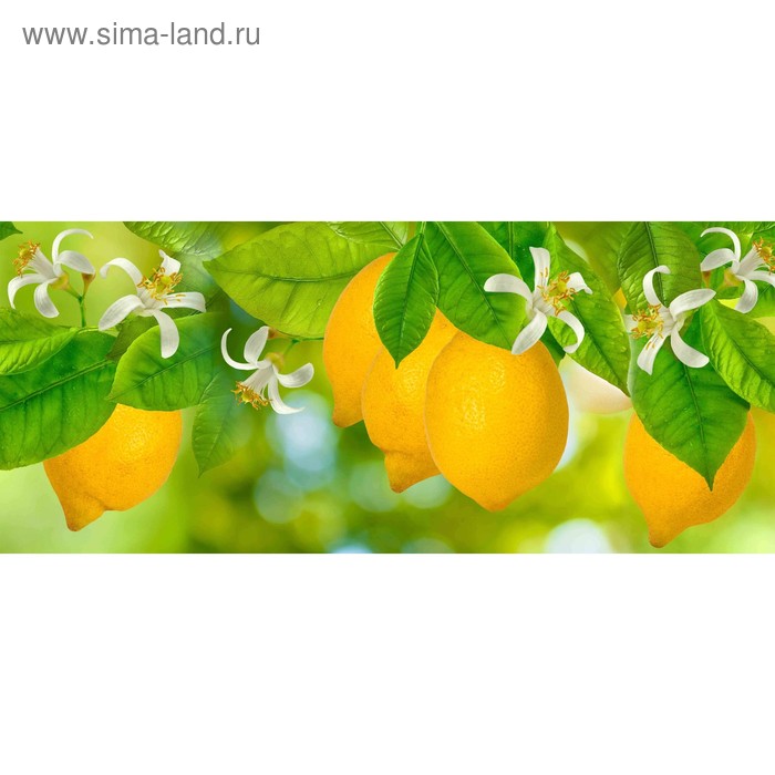 фото Кухонный фартук 1400х600 мм, закалённое стекло 4 мм, 6 отверстий под крепёж, цвет арт456