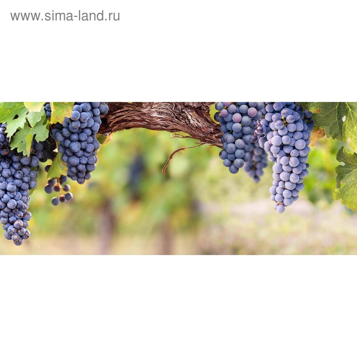 фото Кухонный фартук 1400х600 мм, закалённое стекло 4 мм, 6 отверстий под крепёж, цвет арт840