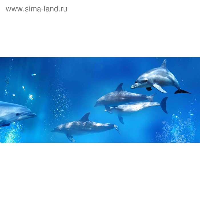 фото Кухонный фартук 1400х600 мм, закалённое стекло 4 мм, 6 отверстий под крепёж, цвет арт841