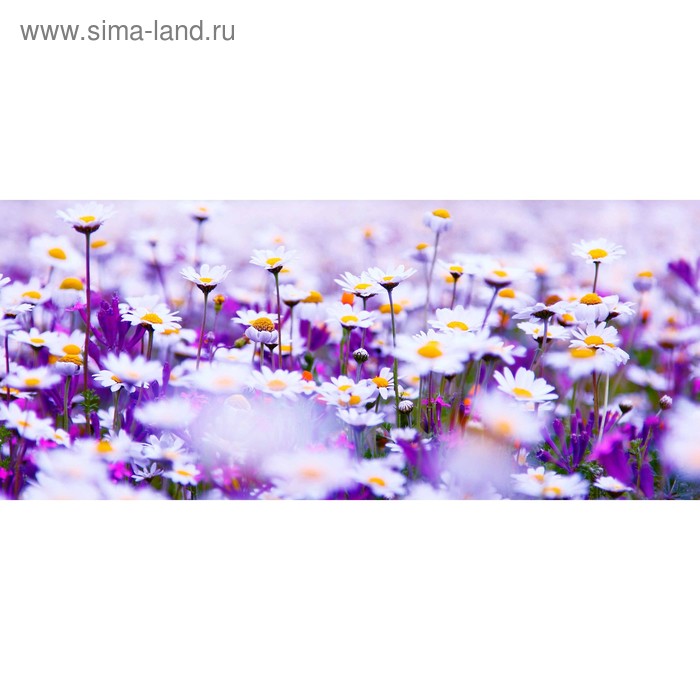 фото Кухонный фартук 1400х600 мм, закалённое стекло 4 мм, 6 отверстий под крепёж, цвет цв0050