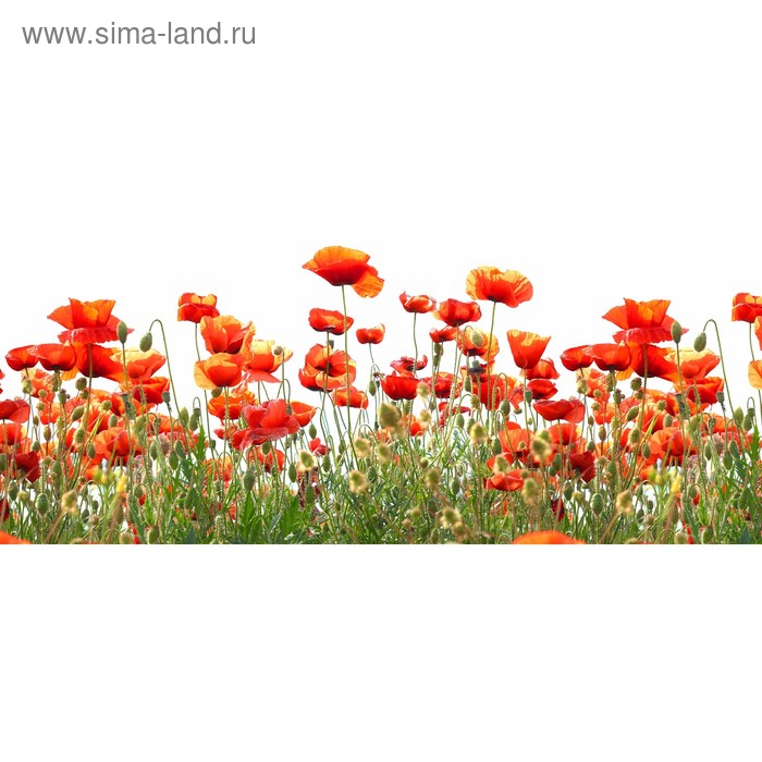 фото Кухонный фартук 1400х600 мм, закалённое стекло 4 мм, 6 отверстий под крепёж, цвет цв0272