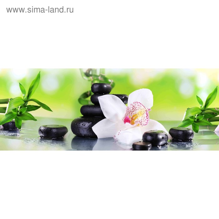 фото Кухонный фартук 1600х600 мм, закалённое стекло 4 мм, 6 отверстий под крепёж, цвет арт23