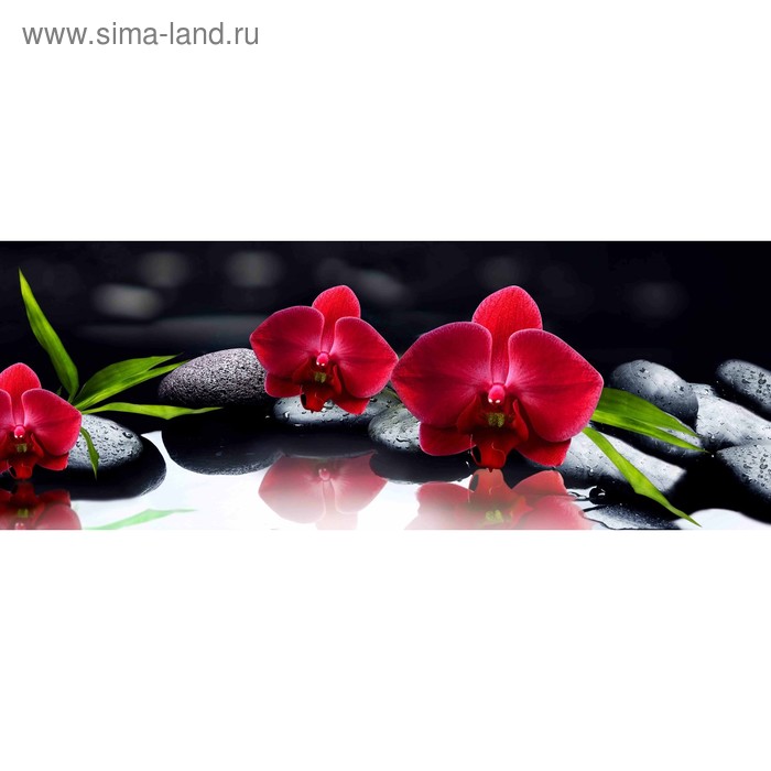 фото Кухонный фартук 1600х600 мм, закалённое стекло 4 мм, 6 отверстий под крепёж, цвет арт69