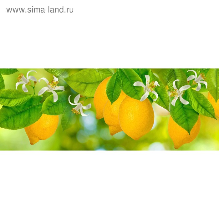 фото Кухонный фартук 1600х600 мм, закалённое стекло 4 мм, 6 отверстий под крепёж, цвет арт456