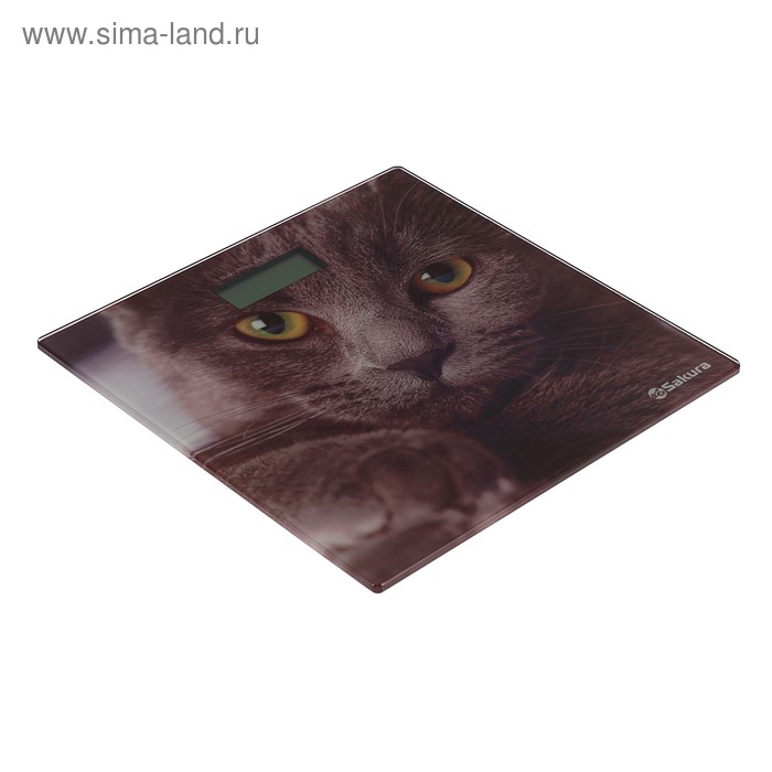 Весы напольные Sakura SA-5065CT, электронные, до 180 кг, 1хCR2032, стекло, картинка "кошка"
Весы напольные Sakura SA-5065CT, электронные, до 180 кг, 1хCR2032, стекло, картинка "кошка"