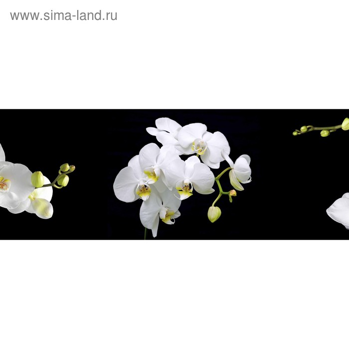 фото Кухонный фартук 1600х600 мм, закалённое стекло 4 мм, 6 отверстий под крепёж, цвет цв0139