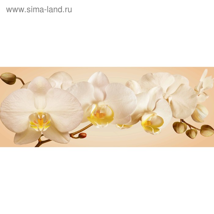 фото Кухонный фартук 1600х600 мм, закалённое стекло 4 мм, 6 отверстий под крепёж, цвет цв0514