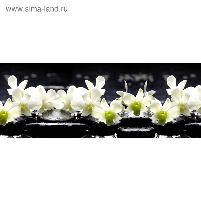 фото Кухонный фартук 1600х600 мм, закалённое стекло 4 мм, 6 отверстий под крепёж, цвет цв0251